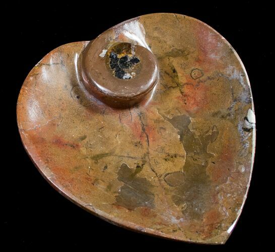 Heart Shaped Fossil Goniatite Dish #8867